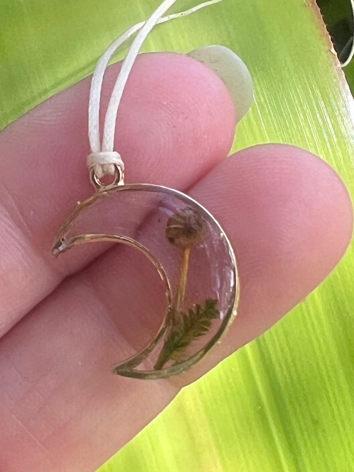 Real Mushroom Moon Necklace