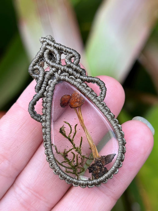 Real Aussie Mushroom Necklace | Nature Jewellery | Cottagecore Necklace | Handmade in Australia | Botanical Gift