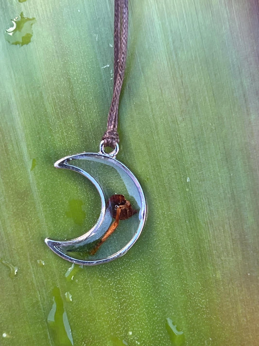 Real Aussie Mini Mushroom Moon Necklace | Minimalist Nature Jewellery | Cottagecore Necklace | Handmade in Australia | Botanical Gift