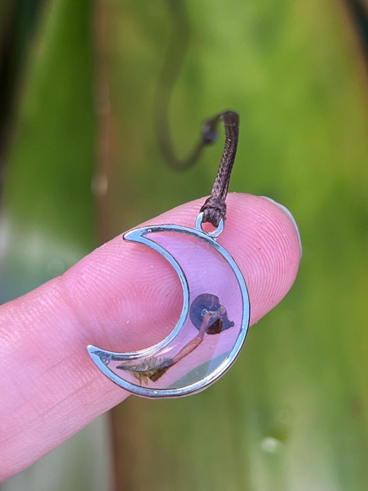 Real Aussie Mini Mushroom Moon Necklace | Minimalist Nature Jewellery | Cottagecore Necklace | Handmade in Australia | Botanical Gift