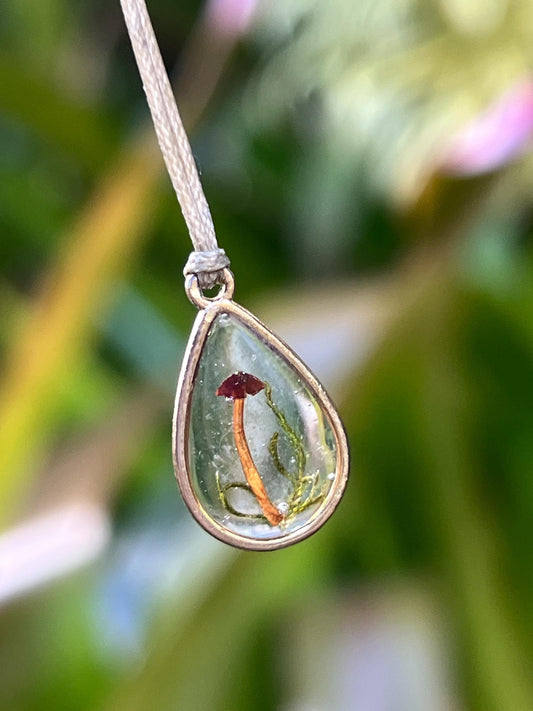 Real Aussie Mini Mushroom Necklace | Minimalist Nature Jewellery | Cottagecore Necklace | Handmade in Australia | Botanical Gift