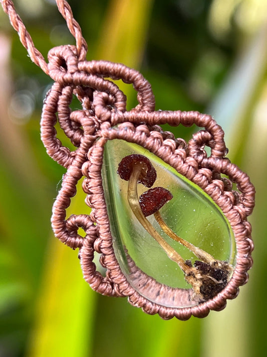 Real Aussie Mushroom Necklace | Nature Jewellery | Cottagecore Necklace | Handmade in Australia | Botanical Gift